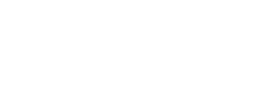 Dent Neurologic Institute Logo