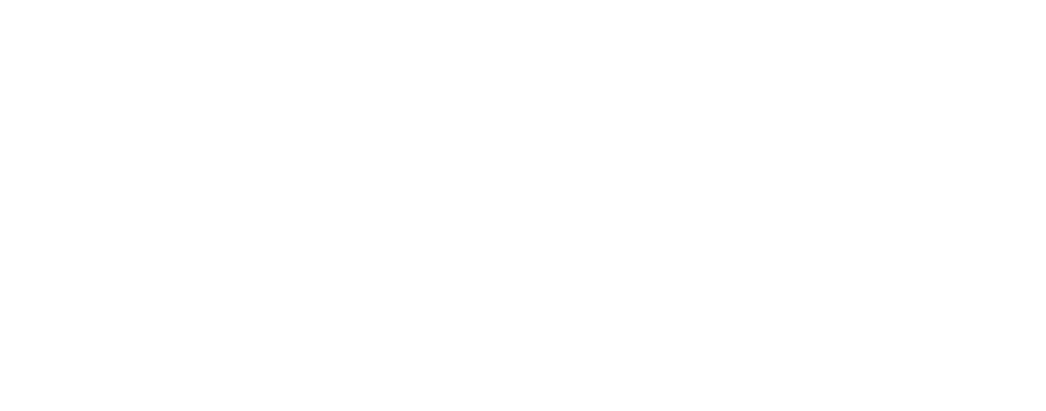 Dent Neurologic Institute Logo